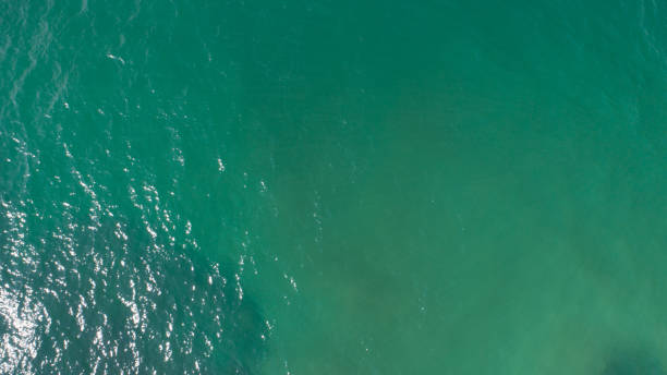 istock Aerial view of mystery sea wave surface 1172111476