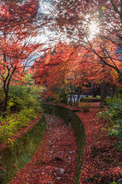 istock Autumn scenery like Japan 1172111820