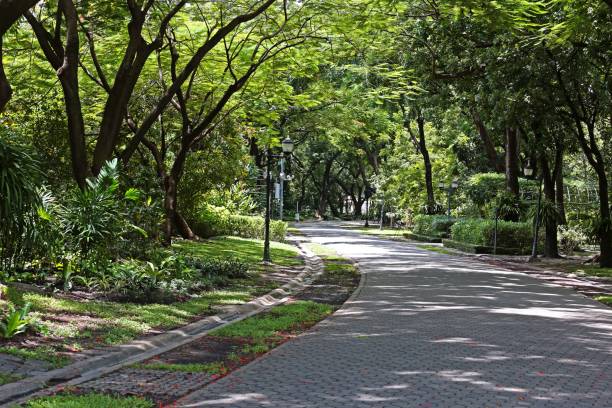 istock Walkways in public parks in Thailand 1172111964