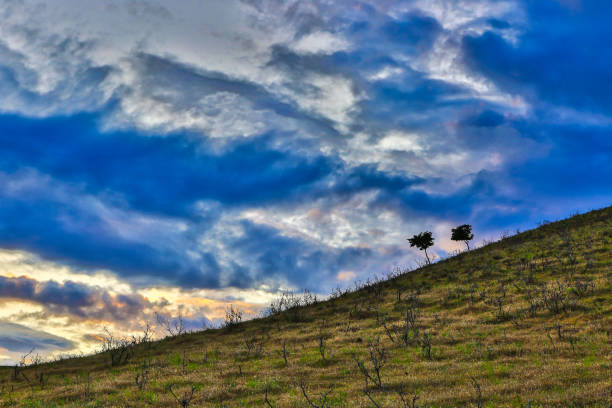 Shooting autumn outdoor natural scenery, grassland, farmland, blue sky and white clouds, sunset