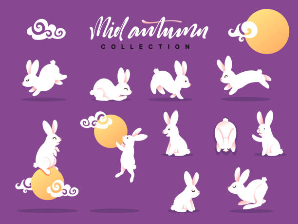 ilustrações de stock, clip art, desenhos animados e ícones de set of happy rabbit illustration. mid-autumn festival. collection funny bunny. flat bunny c moon - autumn collection
