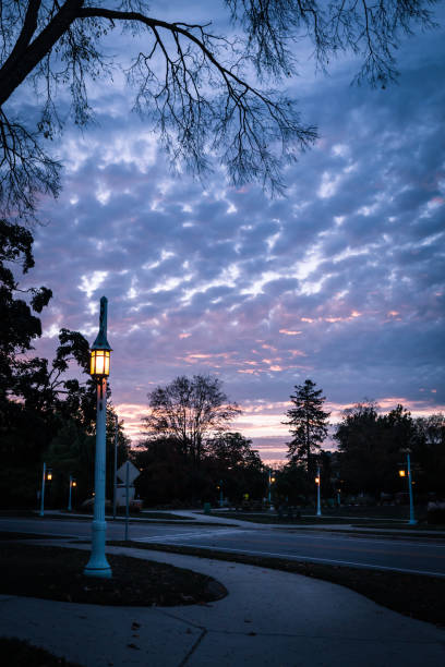 istock Purple sunset and beautiful street lantern on campus 1172120871