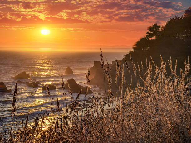 California sunset with rocks and grass