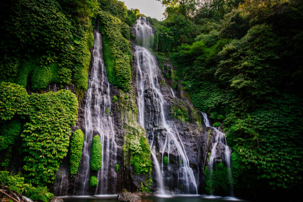 istock Banyumala Twin Waterfalls in Bali 1172123788