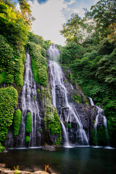 istock Banyumala Twin Waterfalls in Bali 1172123793