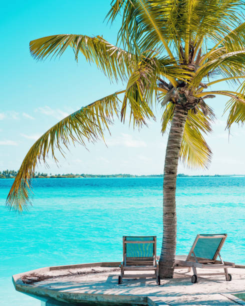 Paradise Beach with coconut palm trees and white coral sand. Composite photo