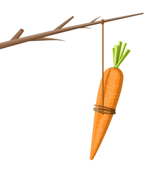 illustrations, cliparts, dessins animés et icônes de carotte sur un bâton - stick dangling a carrot carrot motivation