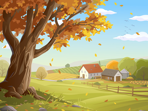 Vector illustration of a beautiful rural landscape with a big colorful tree and autumn leaves in the foreground, and a farm, agricultural fields, a fence, a road, hills, bushes, trees and green meadows in the background. Art on layers and easily edited and scaled.