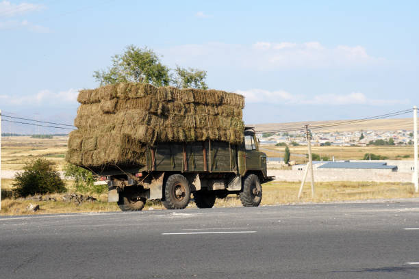 istock Hay transport in the Caucasus 1172136963