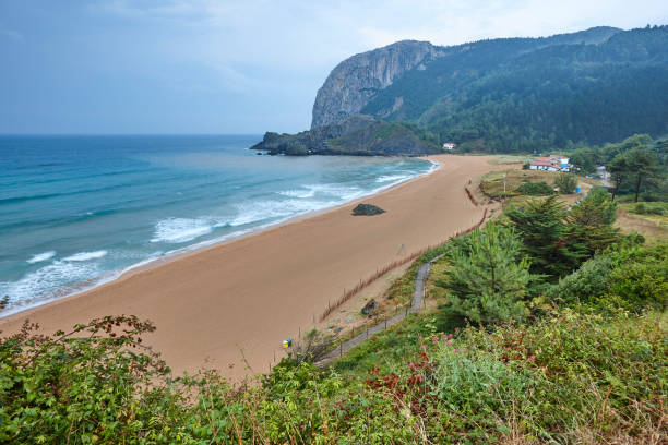 istock Coastline at sunset in Basque Country. Laga beach. Spain 1172137007