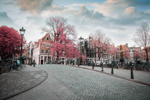 istock Traditional old buildings in Amsterdam 1172138153