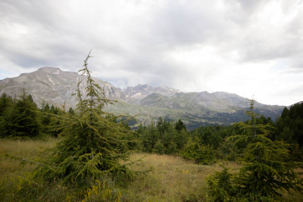 istock Beautiful mountain landscape background image 1172138319