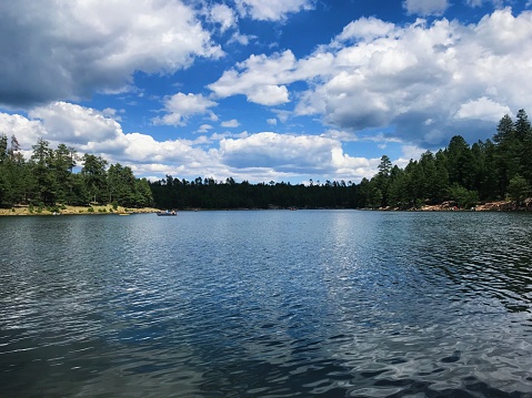 Lake forest panoramic view