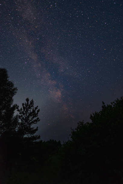 istock Milky way over the forest summer night 1172140521