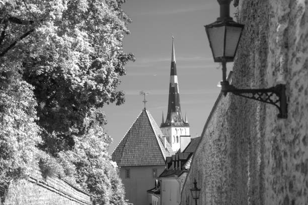 picturesque and very beautiful  photos of Tallinn