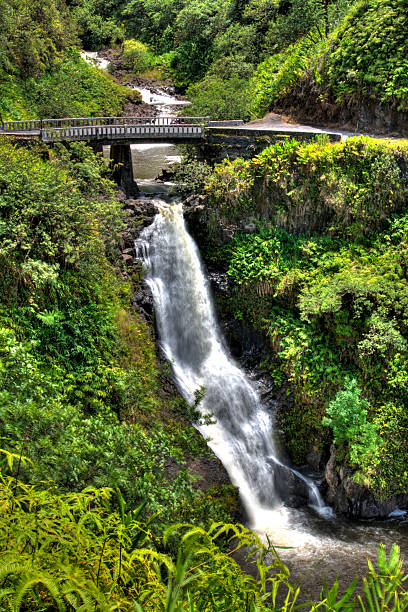 hana highway - hana photos et images de collection