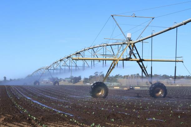 istock A lateral move irrigation system on a commercial farm 1172143458