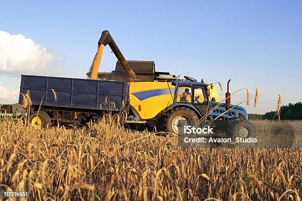 Harvest Stock Photo - Download Image Now - Agricultural Field, Agricultural Machinery, Agriculture