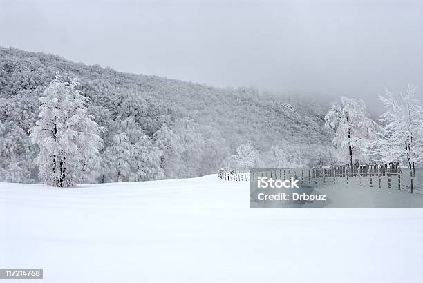 De Invierno Foto de stock y más banco de imágenes de Aire libre - Aire libre, Ajardinado, Belleza de la naturaleza