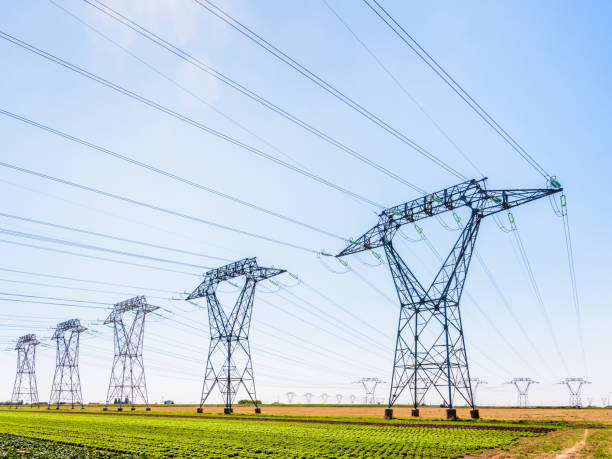 dozens of electricity pylons in the countryside under a clear blue sky. - power equipment imagens e fotografias de stock