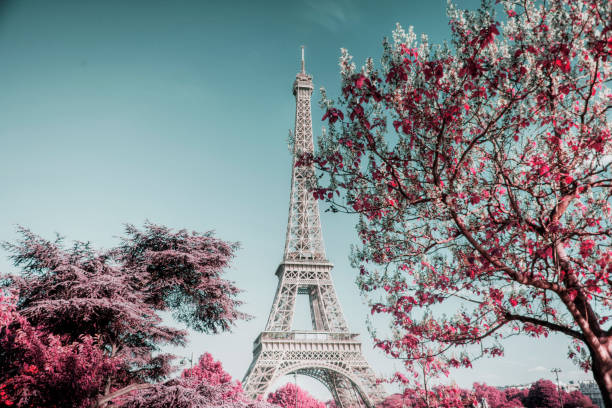 istock Eiffel Tower in Paris, France 1172151004