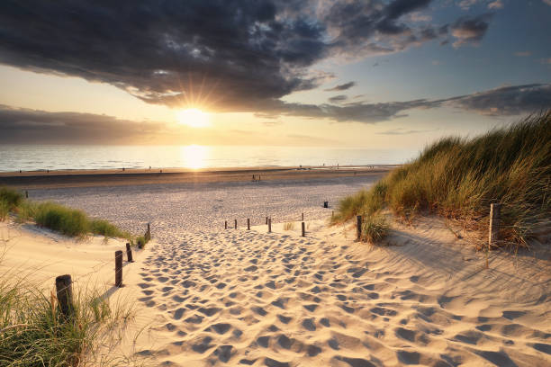 istock golden sunset light over sand path to North sea beach between dunes 1172153062