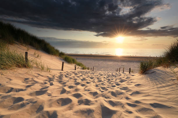 sand path to sea beach in summer at sunset, Netherlands