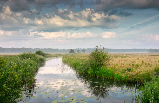 istock serene misty morning over river and meadows 1172153099
