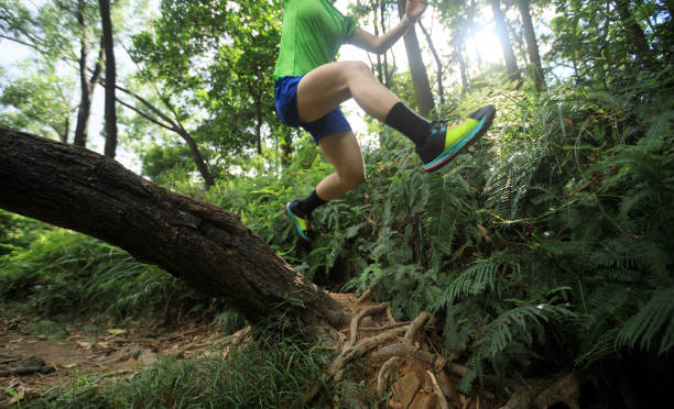 120+ Jungle Ultra Marathon Stock Photos, Pictures & Royalty-Free Images ...