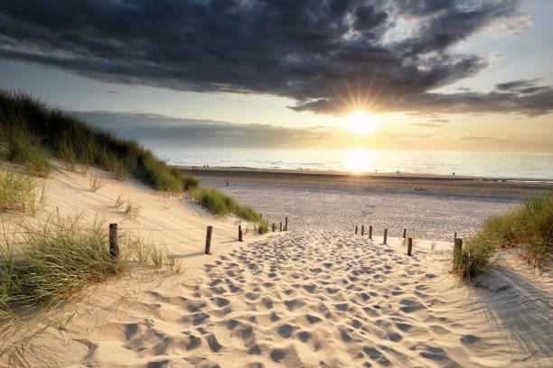 istock path on sand to North sea beach at sundown, Holland 1172153352