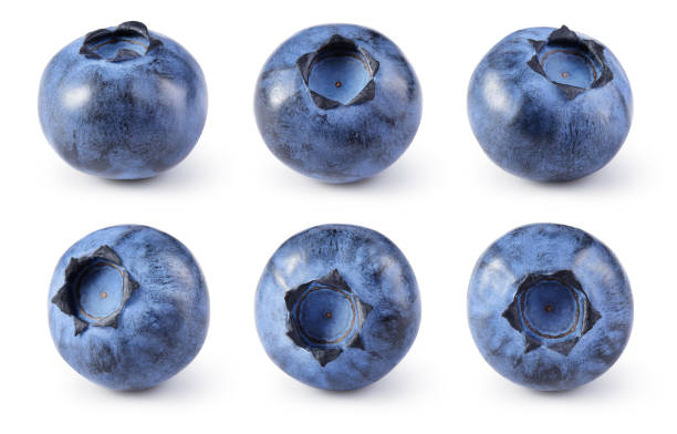istock Blueberry. Blueberries set isolated on white background. Bilberry. Clipping path. 1172159366