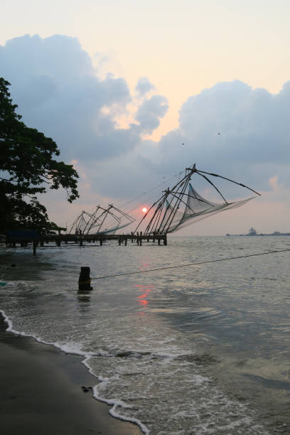 Image of Chinese fishing nets at sunset in Fort Kochi beach in Cochin, Kerala, South India with local Indian fisherman catching tuna fish mackerel from port of Kochi harbour water in Indian Ocean / Arabian Sea, Cheena vala Chinese fishing nets Kochi photo Stock photo of Chinese fishing nets at sunset in Fort Kochi beach in Cochin, Kerala, South India with local Indian fisherman catching tuna fish mackerel from port of Kochi harbour water in Indian Ocean / Arabian Sea, Cheena vala Chinese fishing nets Kochi photo cochin kerala india chinese fishing net stock pictures, royalty-free photos & images