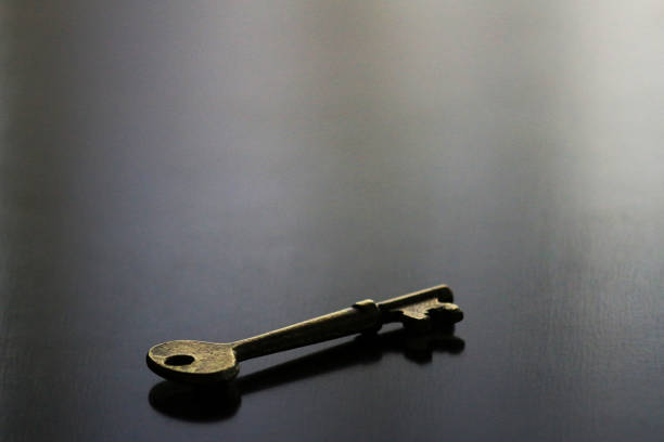 istock Still life of antique brass key 1172161114