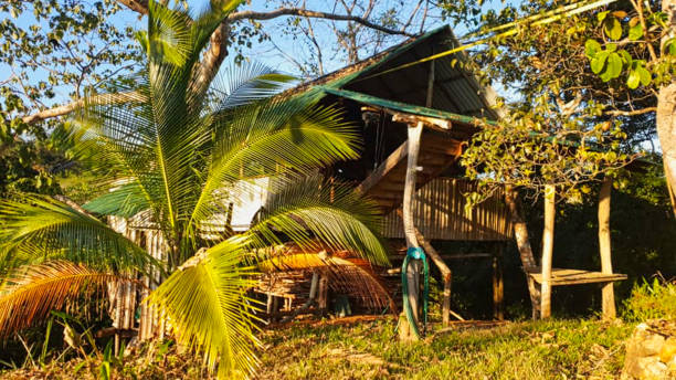 istock an old hut in the jungle 1172162279