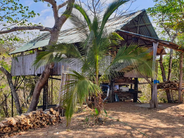 istock a hut somewhere in the jungle 1172162292