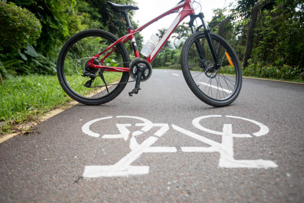 istock Mountain bike on cycling path 1172162397