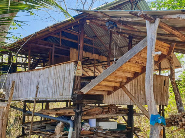 istock a hut somewhere in the jungle 1172163530