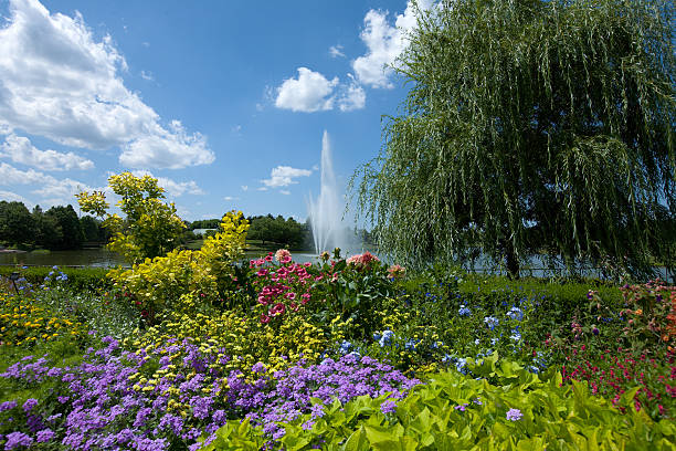 giardino botanico - fountain landscaped ornamental garden flower bed foto e immagini stock