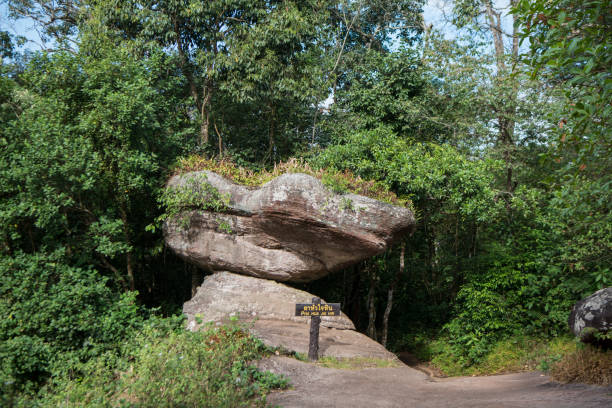 istock THAILAND PHITSANULOK NATIONAL PARK 1172168055