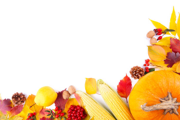 istock Orange pumpkin with leaves and vegetables isolated on white background 1172168332