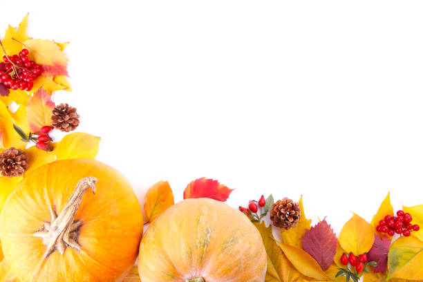 istock Orange pumpkin with leaves and pumpkin isolated on white background 1172168341