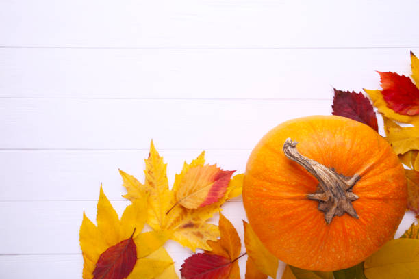 istock Orange pumpkin with leaves on a white background. 1172168365