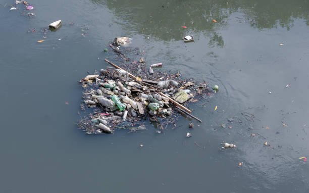 istock Pollution on the Capibaribe River in Recife 1172168369