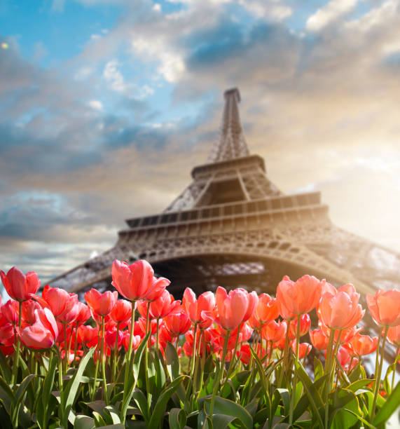 istock Eiffel Tower in Paris, France 1172172306