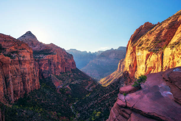istock Canyon Overlook at Zion National Park, Utah 1172172802