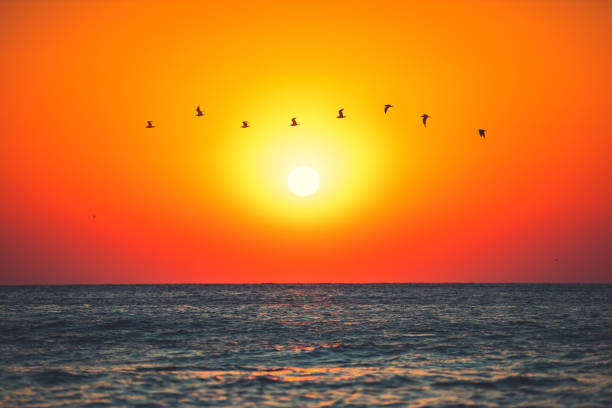 istock Beautiful sunrise over the tropical sea 1172172804