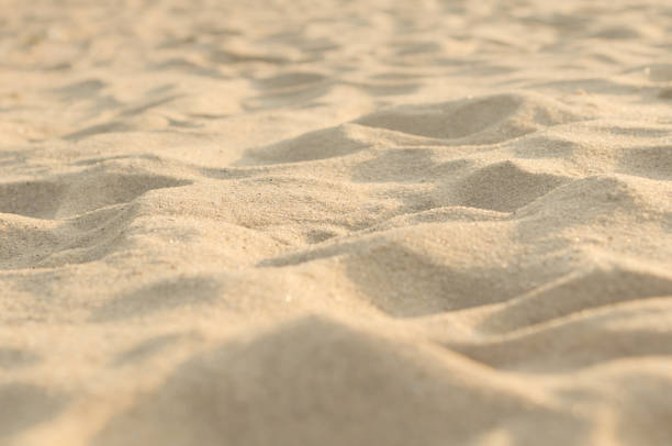 istock Texture of bumpy sand on the sea beach closeup. 1172178503