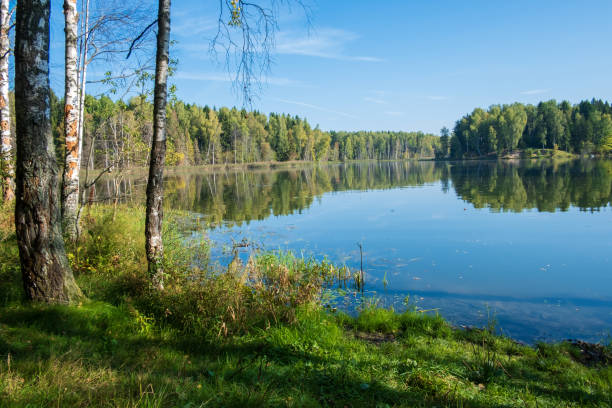 istock summer cloudless day by the lake 1172179129