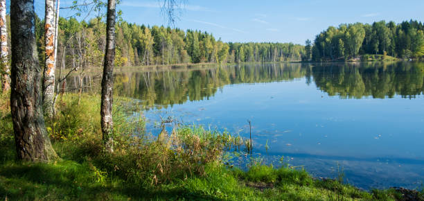 istock summer cloudless day by the lake 1172179203
