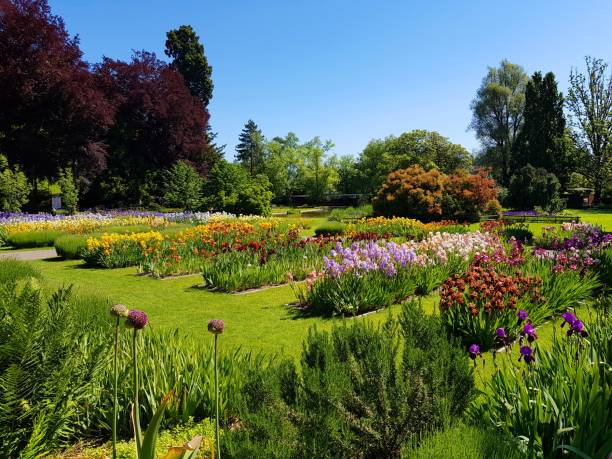 istock Belvoir Park Zurich 1172179220